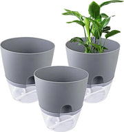 Irrigazione automatica per piante - grigio - 153 cm largo - sistema di autoirrigazione - indicatore del livello dell'acqua - per interni e ufficio - 3 pezzi