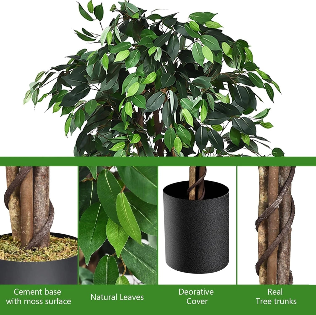 Albero Artificiale Fico di Betulla 180 cm, Pianta Verde con Vaso in Cemento e 1008 Foglie, Decorazione d’Interno per Casa ed Ufficio