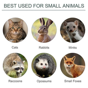 GABBIA TRAPPOLA PER ANIMALI VIVI CON DOPPIA PORTA 100X25X28CM VERDE SCURO