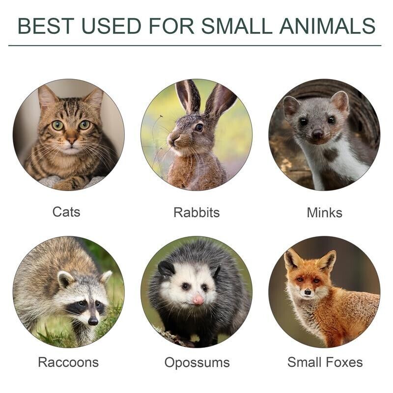 GABBIA TRAPPOLA PER ANIMALI VIVI CON DOPPIA PORTA 100X25X28CM VERDE SCURO