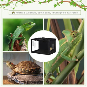 TARTARUGHE DI TERRA CAMALEONTE, IGUANA, GECO E RETTILI IN VETRO CON TERMOMETRO