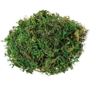 ALBERO BANIANO ARTIFICIALE PIANTA FINTA INTERNO ED ESTERNO ALTA 145CM