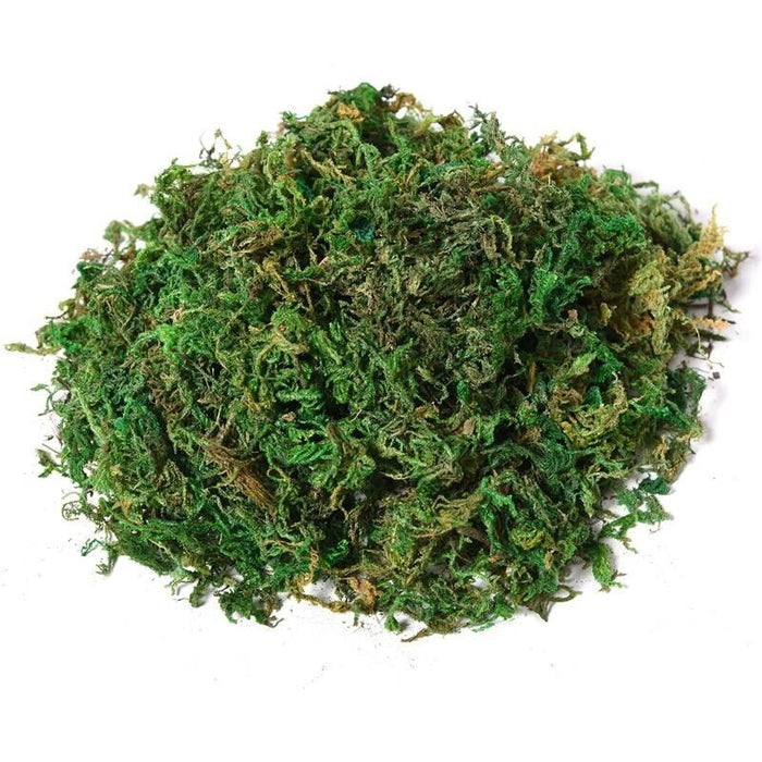 ALBERO BANIANO ARTIFICIALE PIANTA FINTA INTERNO ED ESTERNO ALTA 145CM