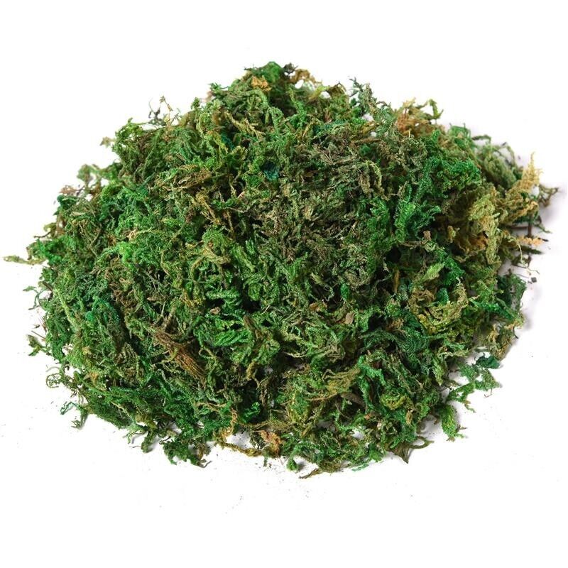 ALBERO BANIANO ARTIFICIALE PIANTA FINTA INTERNO ED ESTERNO ALTA 145CM