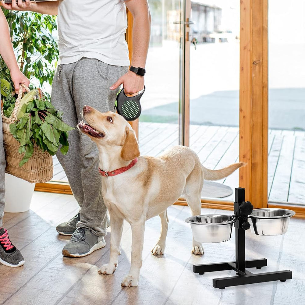 Ciotola Doppia per Cani con Supporto Regolabile 2 scodelle Acciaio , Ciotole 2Lt