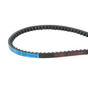 Cinghia di trasmissione AVX 10X864 La