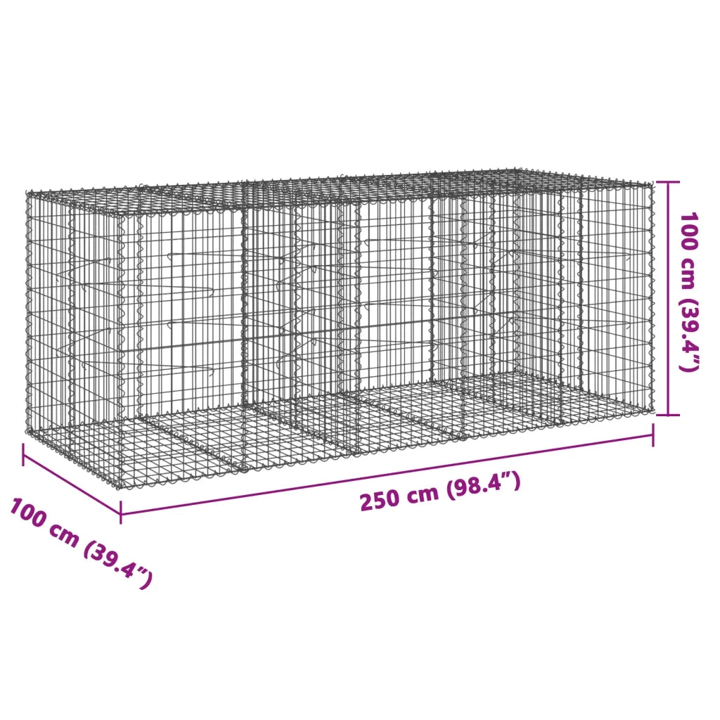 Cesto Gabbione con Copertura 250x100x100 cm in Ferro Zincato 3295193