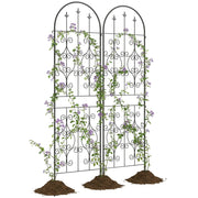 Supporto Reticolo per Piante Rampanti ¨C Zephmum ¨C Metallico Nero 50x180 cm