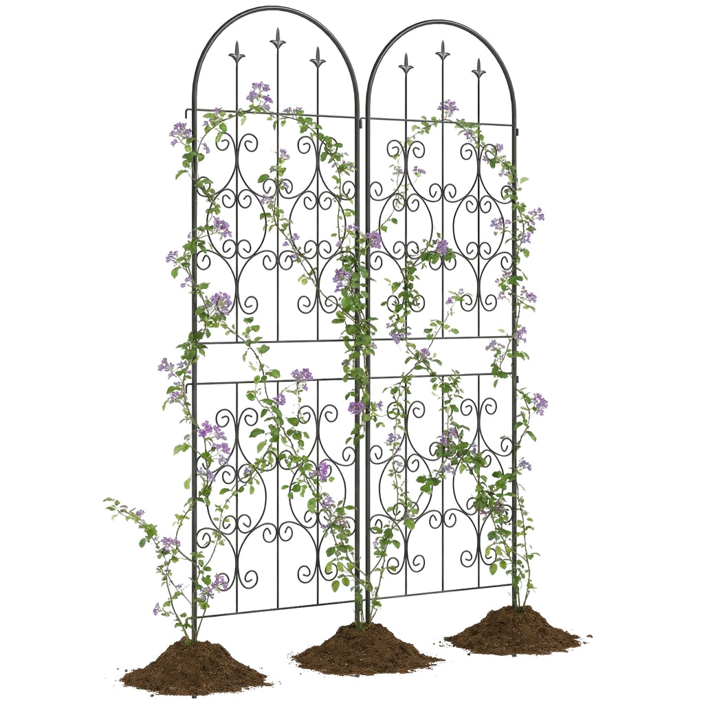 Supporto Reticolo per Piante Rampanti ¨C Zephmum ¨C Metallico Nero 50x180 cm