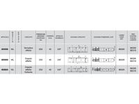 Distributore monoblocco in ghisa 1 leva 3/8 tipo ML predisposto per carry over - 80824