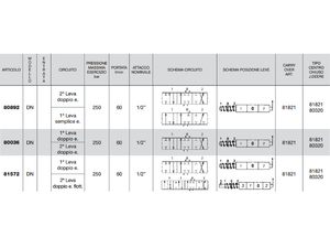 Distributore monoblocco in ghisa 2 leve 1/2 tipo DN predisposto per carry over - 80892