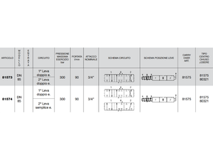 Distributore monoblocco in ghisa 2 leve 3/4 tipo DN 85 predisposto carry over - 81574