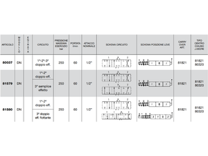 Distributore monoblocco in ghisa 3 leve 1/2 tipo DN predisposto per carry over - 81579
