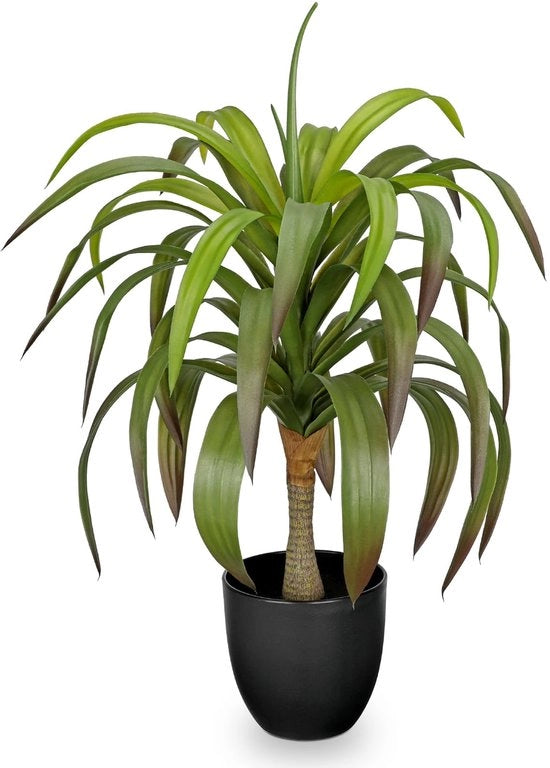 Yucca Bonsai 56cm, Pianta Artificiale Yucca Grande in Vaso, Decorazione Moderna per Interno e Esterno, Ideale per Bagno, Salotto, Camera da Letto e Balcone