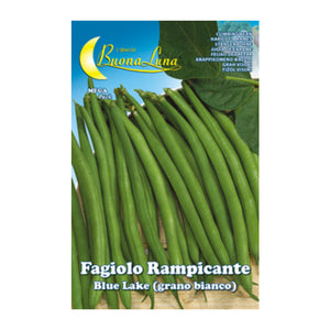 SEMI ORTO FAGIOLI RAMPICANTI BIANCHI