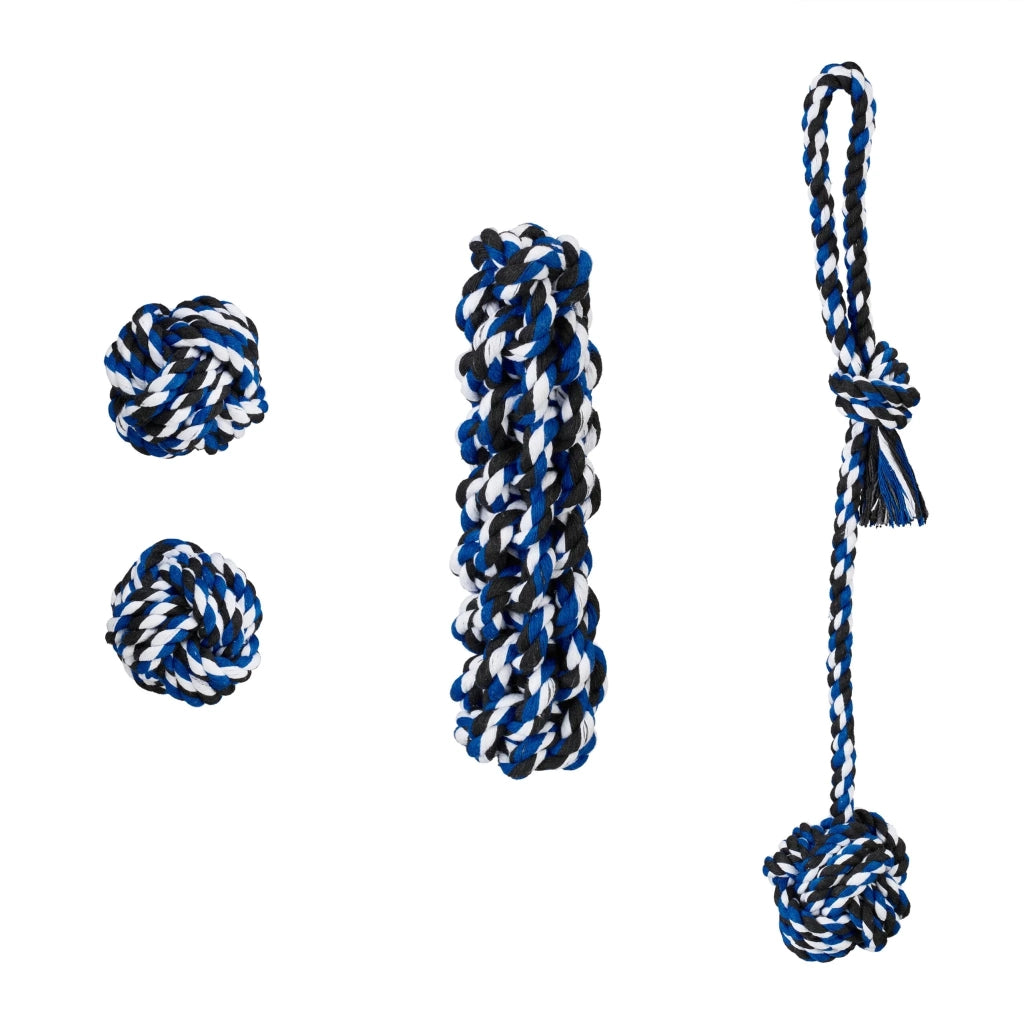 Set di 4 giocattoli interattivi robusti per cuccioli e cani di piccola taglia interno esterno in materiale naturale blu 13_0013553