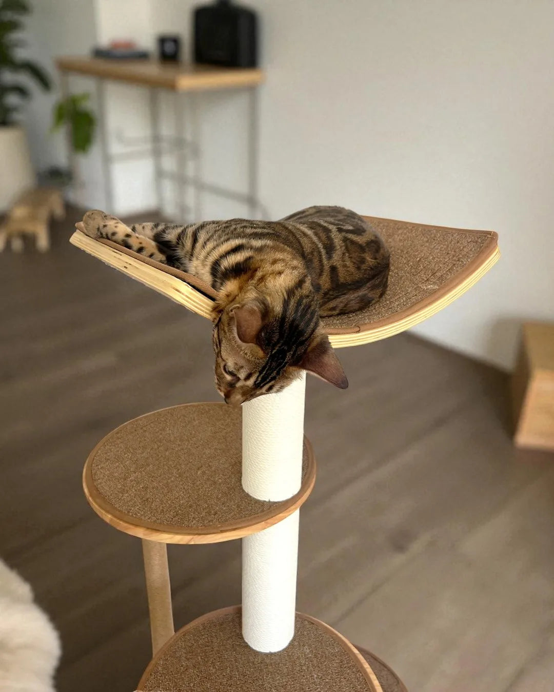 Albero tiragraffi per gatti Gaviota