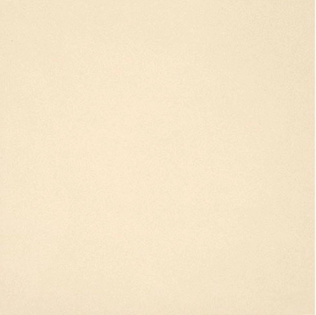 Gres Porcellanato Unicolore Bianco A11/12 Mm 20X20 11/1 0,88 Mq - Casalgrande
