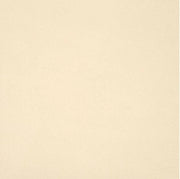 Gres Porcellanato Unicolore Bianco A11/12 Mm 20X20 11/1 0,88 Mq - Casalgrande