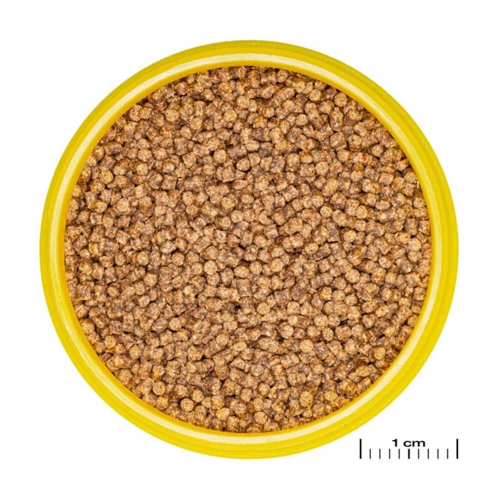JBL ProNovo Lotl Grano S 100ml - Mangime base in granuli per Assolotti e Tritoni da 3 a 10cm