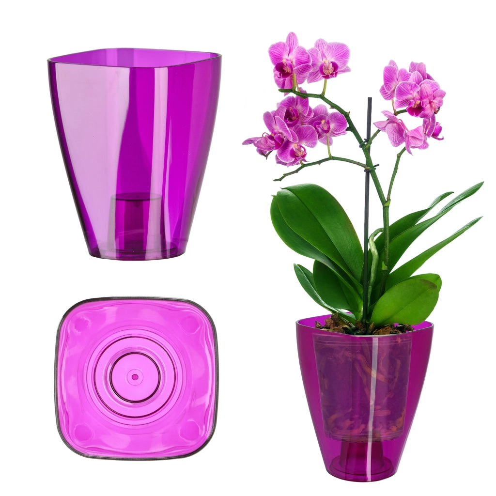 Coprivaso KADAX per orchidee, in plastica, viola, 9 cm