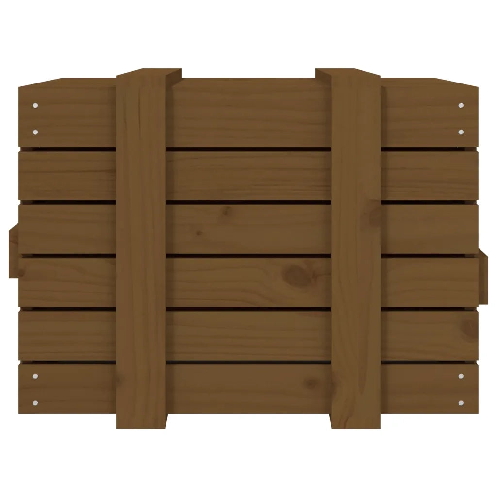 Contenitore Portaoggetti Ambra 58x40,5x42cm Legno Massello Pino 824996