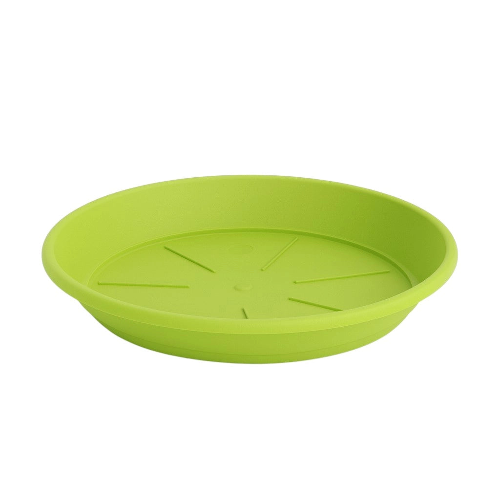SOTTOVASO SIENA D.27CM LIME.