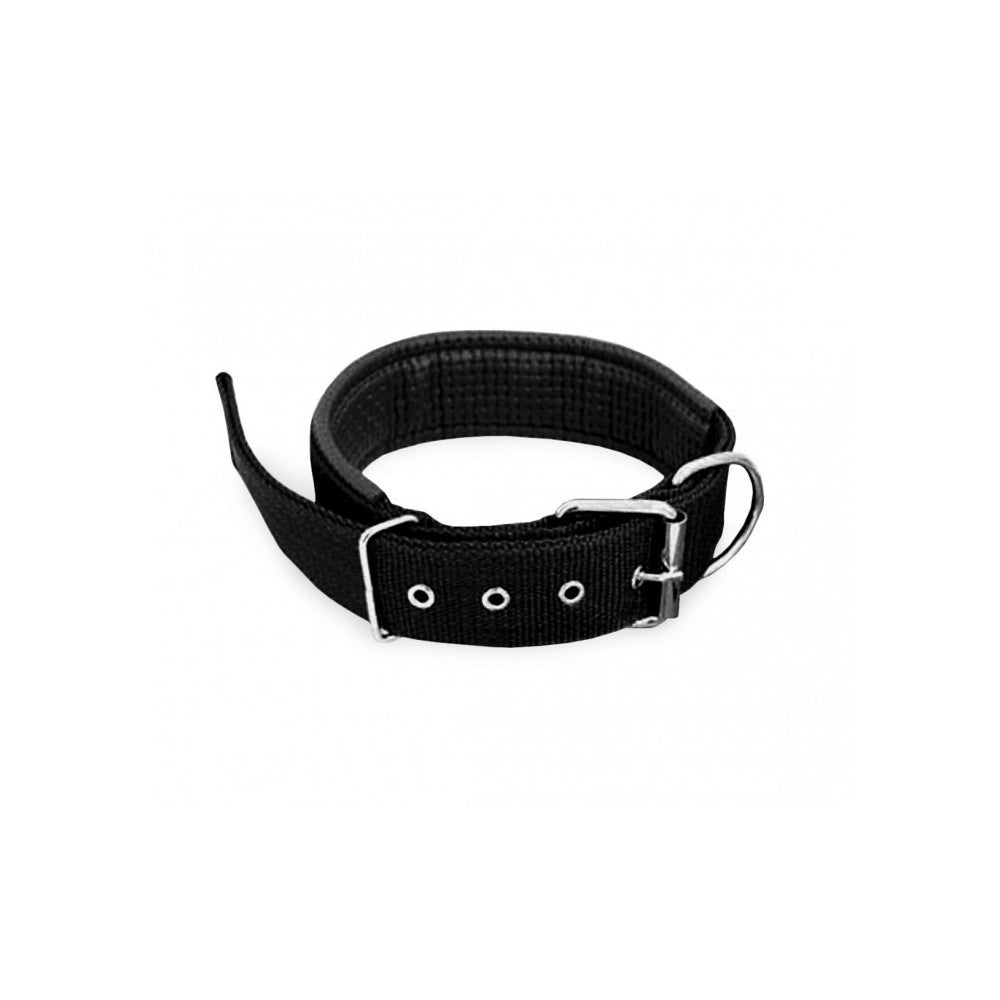 Trade Shop - Collare In Nylon Con Imbottitura Per Cani Tg. Grande Chiusura Fibbia Regolabile -