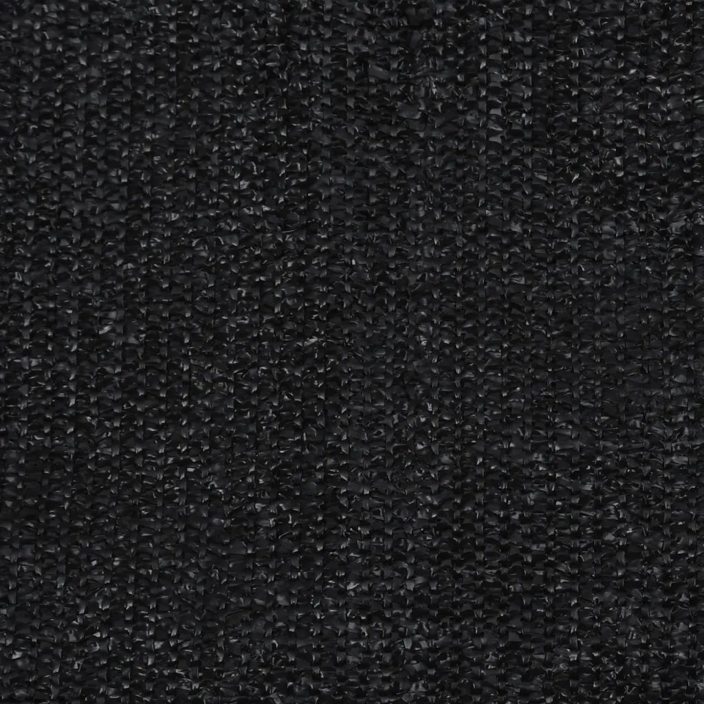 Tenda a Rullo per Esterni 160x140 cm Nera