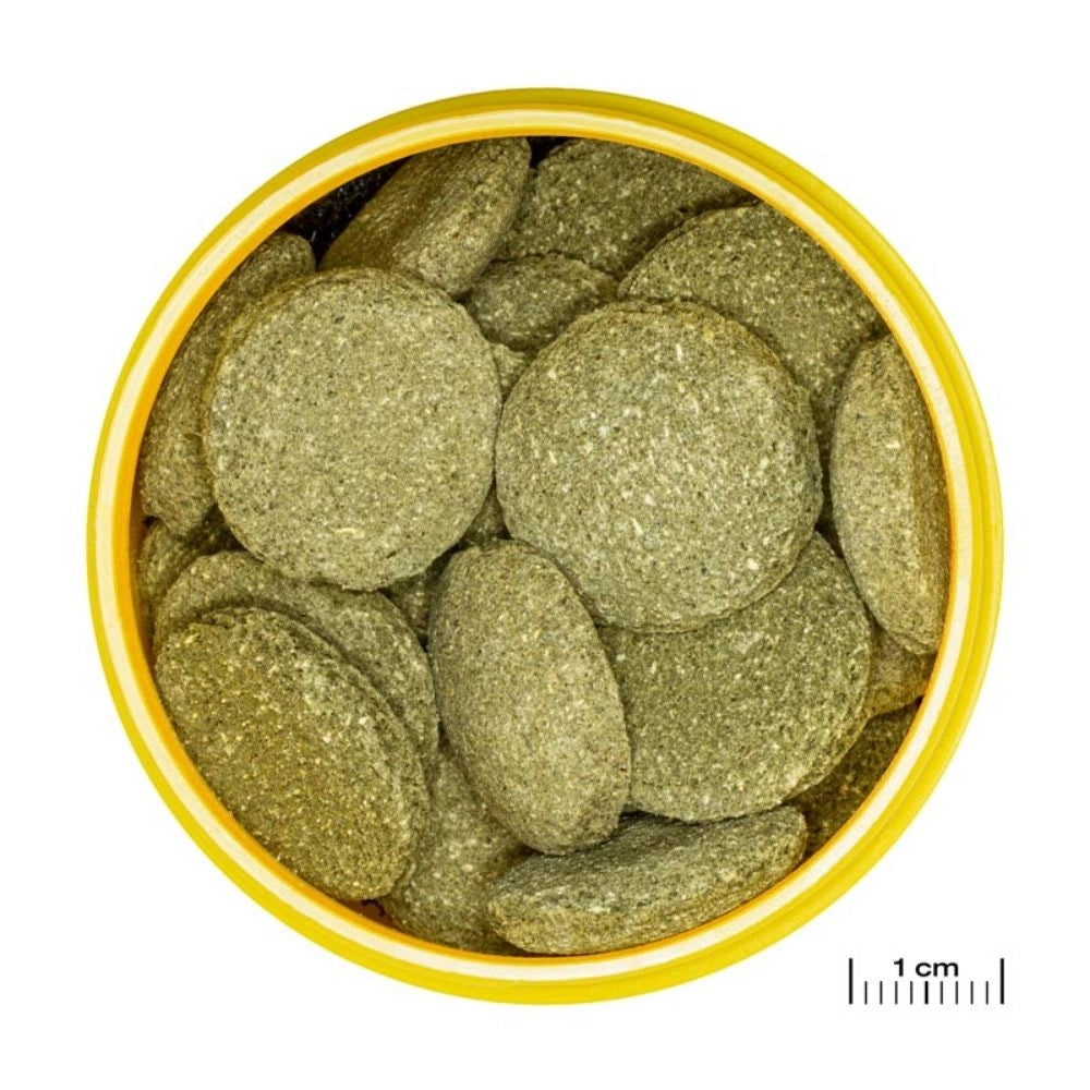 JBL ProNovo Pleco XL - Compresse di mangime per loricaridi erbivori da 15 a 40cm Formato: 1000 ml