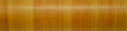 Bonita PLASTICA ADESIVA IN PVC 626/01  Rotolo cm.45 (H) x 20 mt (L). 20.00 metri