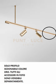 TRUCK PROFILO IN ALLUMINIO 3MT IP65 ORO SEZIONABILE