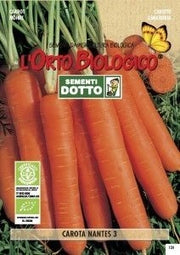 Sementi carota nantes 3