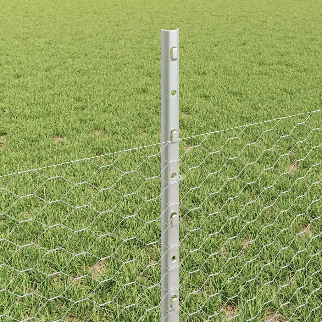 Recinzione da Giardino | Recinzione con Posto Argento
