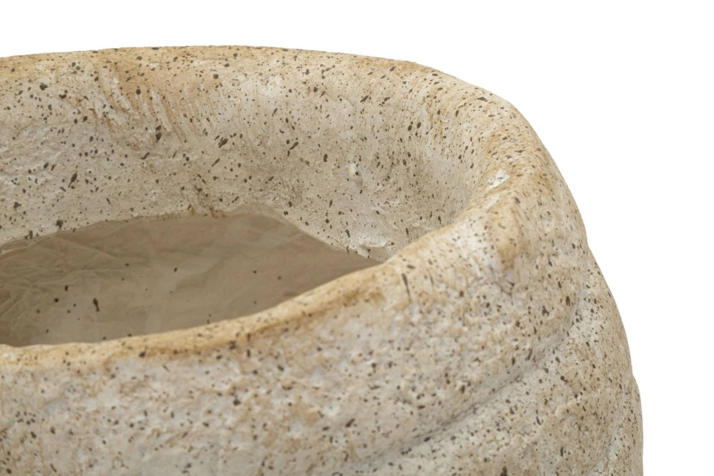 Vaso Shell Sand 33x19x23 cm in Mgo Beige