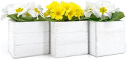 Set di 3 scatole per piante - per fiori e piante - scatola per piante in bianco