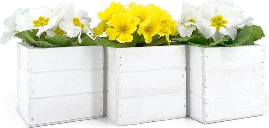 Set di 3 scatole per piante - per fiori e piante - scatola per piante in bianco