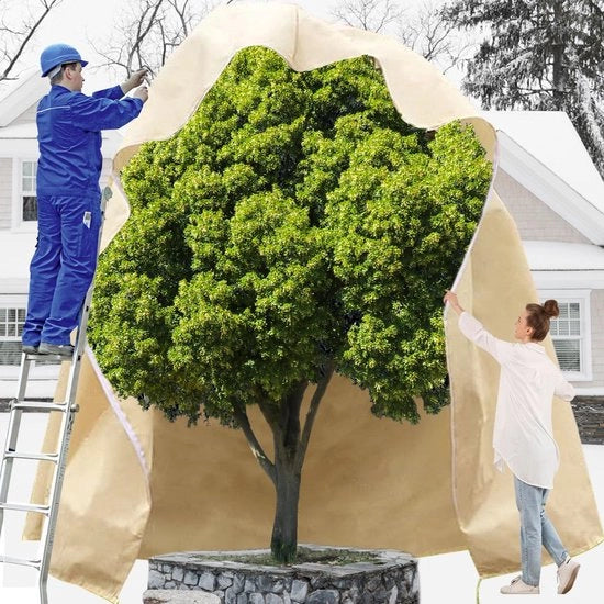 Copertura invernale per piante, copertura invernale per piante in vaso, protezione dal gelo, permeabile, calotta di protezione per piante riciclabile con cordino per tirare per piante di balcone - beige, 250x360cm