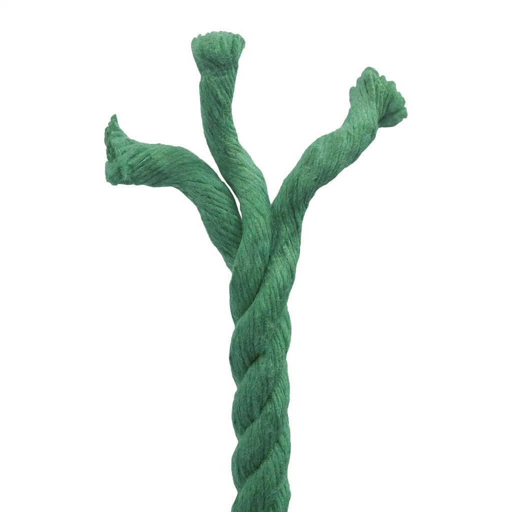 Corda Verde 1 x 1 x 10000 cm Cotone 42011958