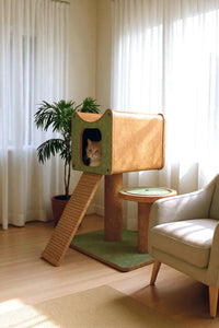 Struttura di arrampicata in sughero Faro