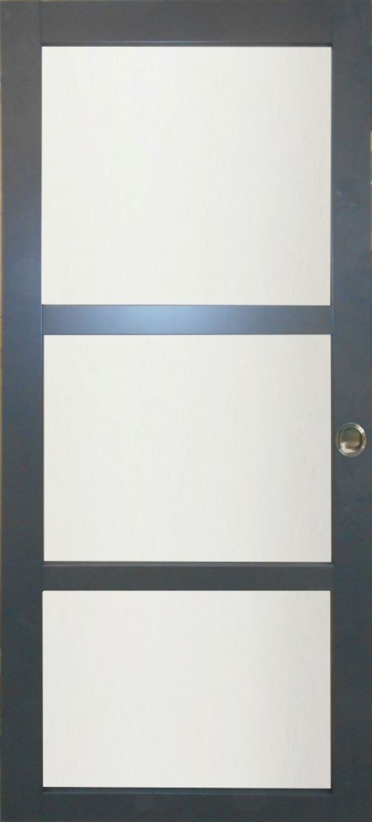 Vetro rivestito grigio antracite Porta scorrevole larghezza 83 + 2 gusci installati