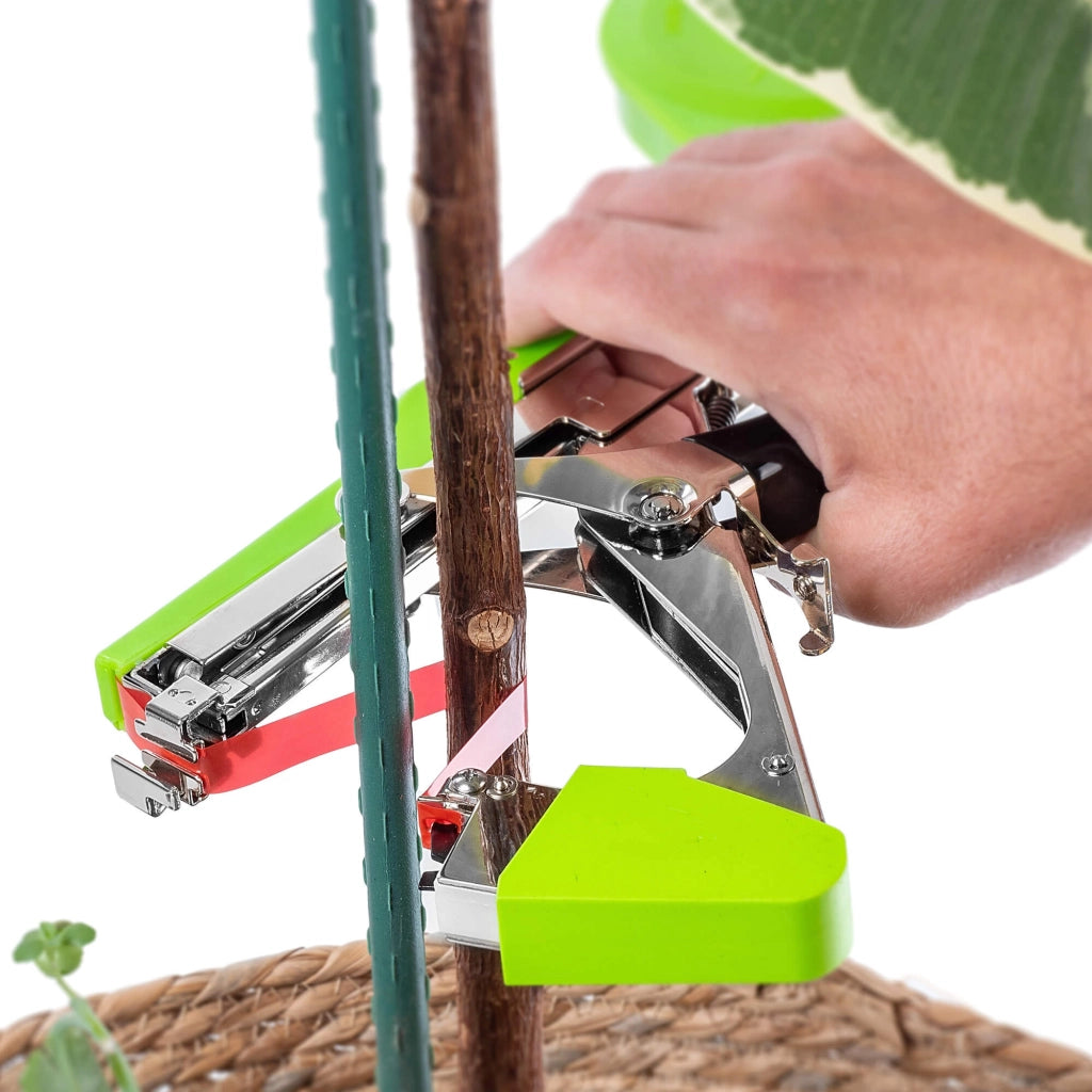 Nastro adesivo da giardinaggio KADAX per graffatrice, accessorio per piante, rosso, 20 pezzi
