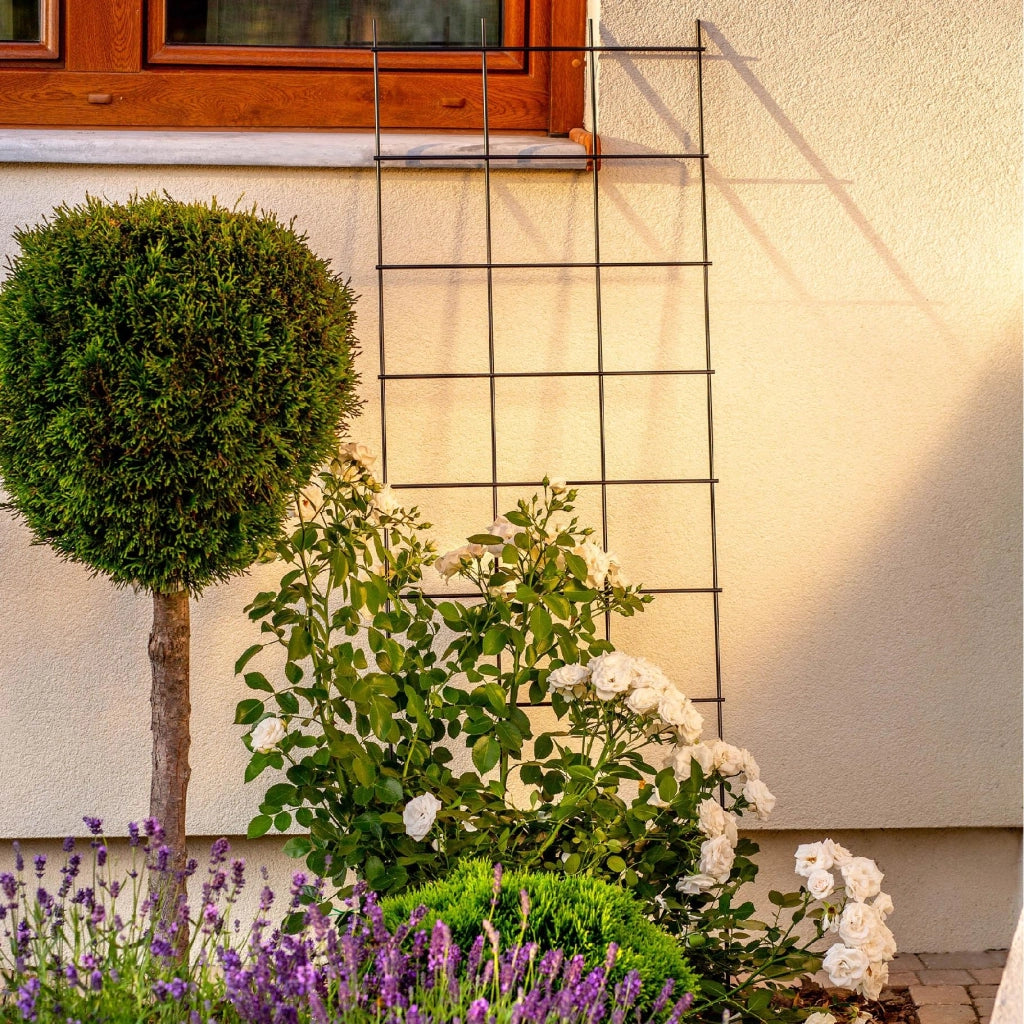 Supporto in metallo per pergola da giardino KADAX per piante, rose e fiori, 45x150