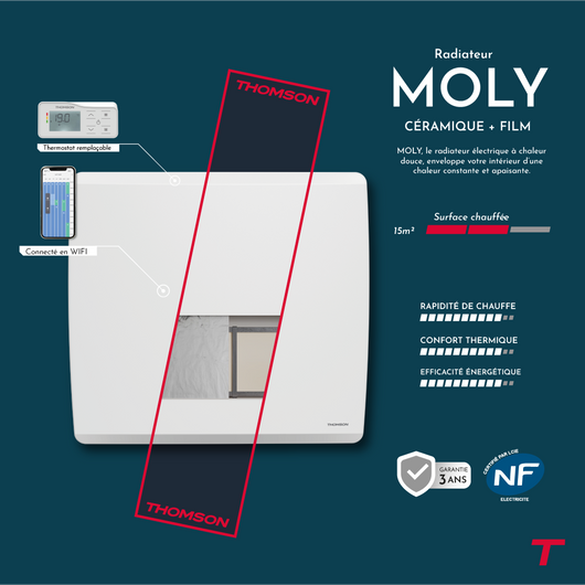 Radiatore elettrico Thomson WiFi con ceramica secca e inerzia a film, termostato intercambiabile, molibdeno da 1500 W