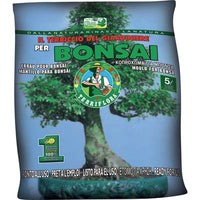 TERRICCIO BONSAI TERRIFLORALT 5 (216)