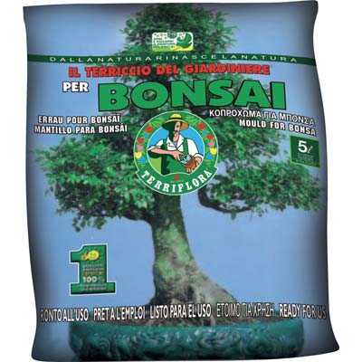 TERRICCIO BONSAI TERRIFLORALT 5 (216)