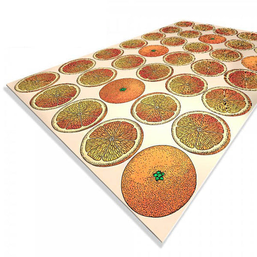 ARANCE - Paraschizzi da cucina in PVC flessibile - Misura 120x60cm spessore 3mm