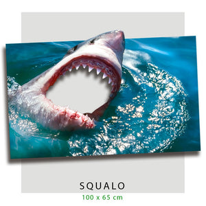 Cornice selfie nella bocca dello SQUALO Misura: 100x65 cm