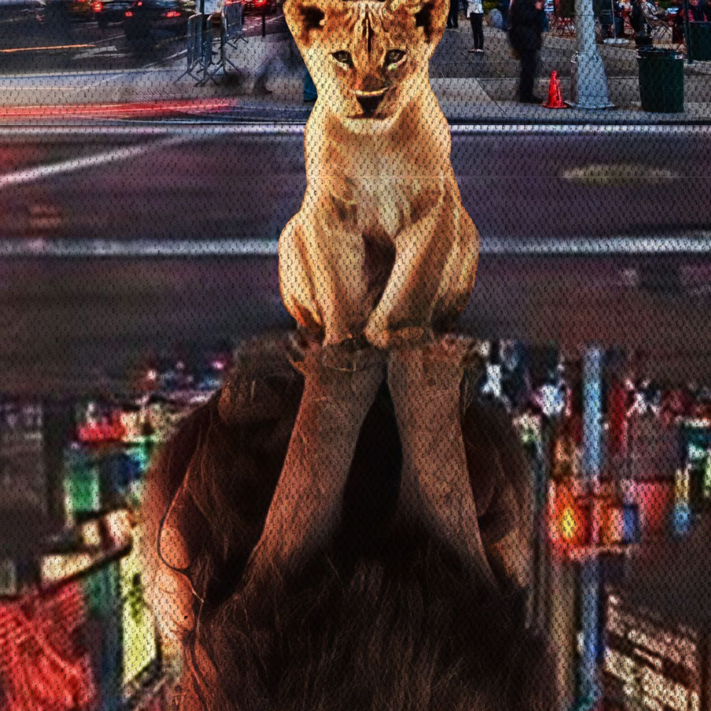 Da Grande -  Quadro Canvas Contemporaneo su telaio in legno Misura: 50x70 cm