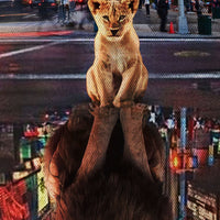 Da Grande -  Quadro Canvas Contemporaneo su telaio in legno Misura: 70x100 cm